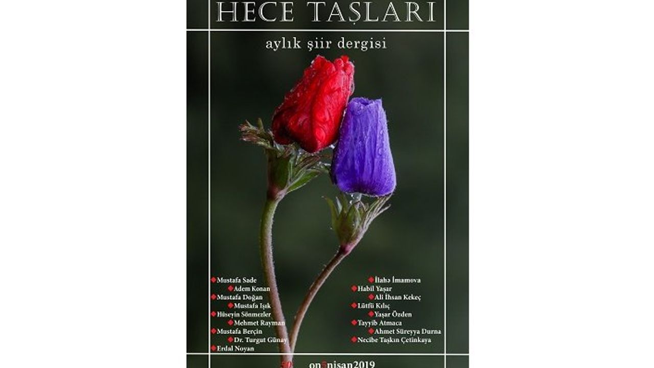 Hece Taşları dergisinin yeni sayısı yayınlandı