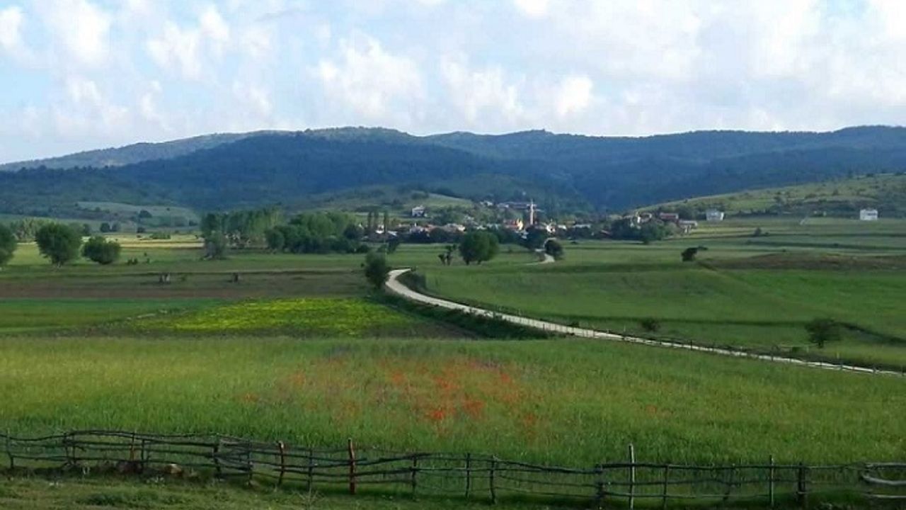 Anadolu'nun en iyi atları burada yetişti
