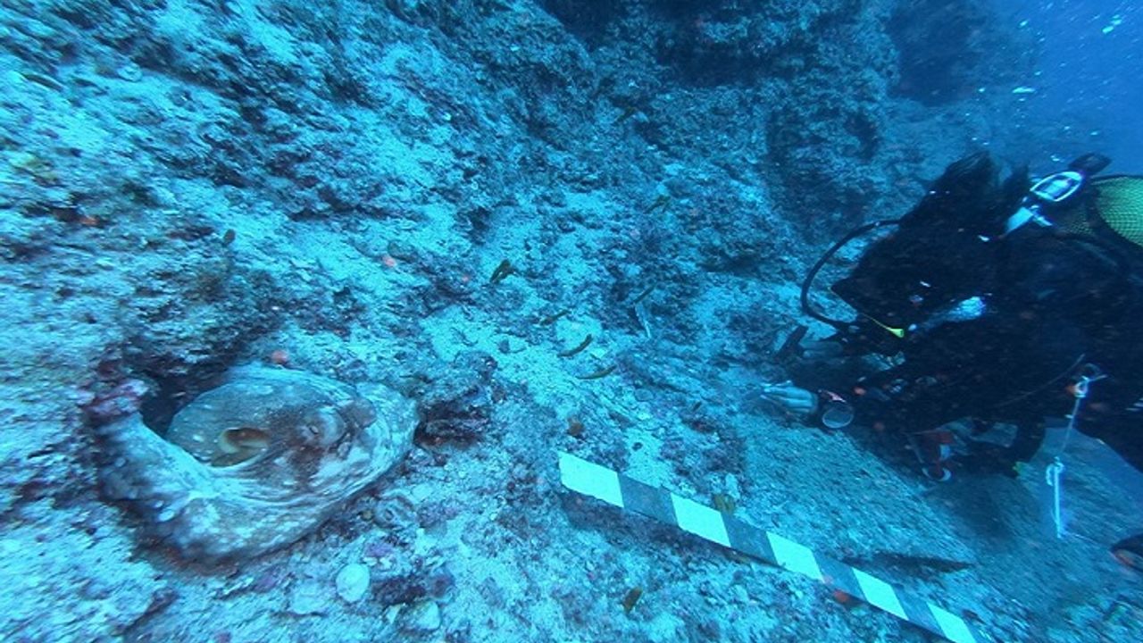 'Sualtının Göbeklitepesi' Antalya'da yüzeye çıkıyor