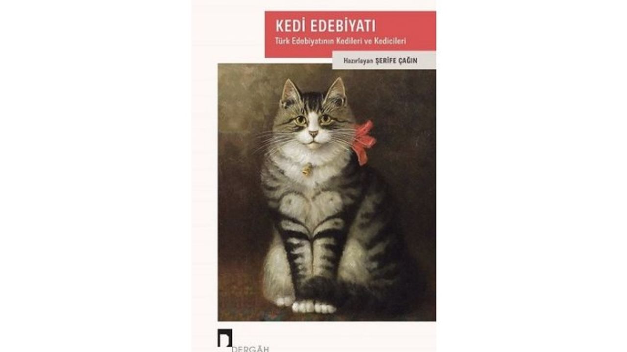 Yeni kitap: Kedi Edebiyatı: Türk Edebiyatının Kedileri ve Kedicileri