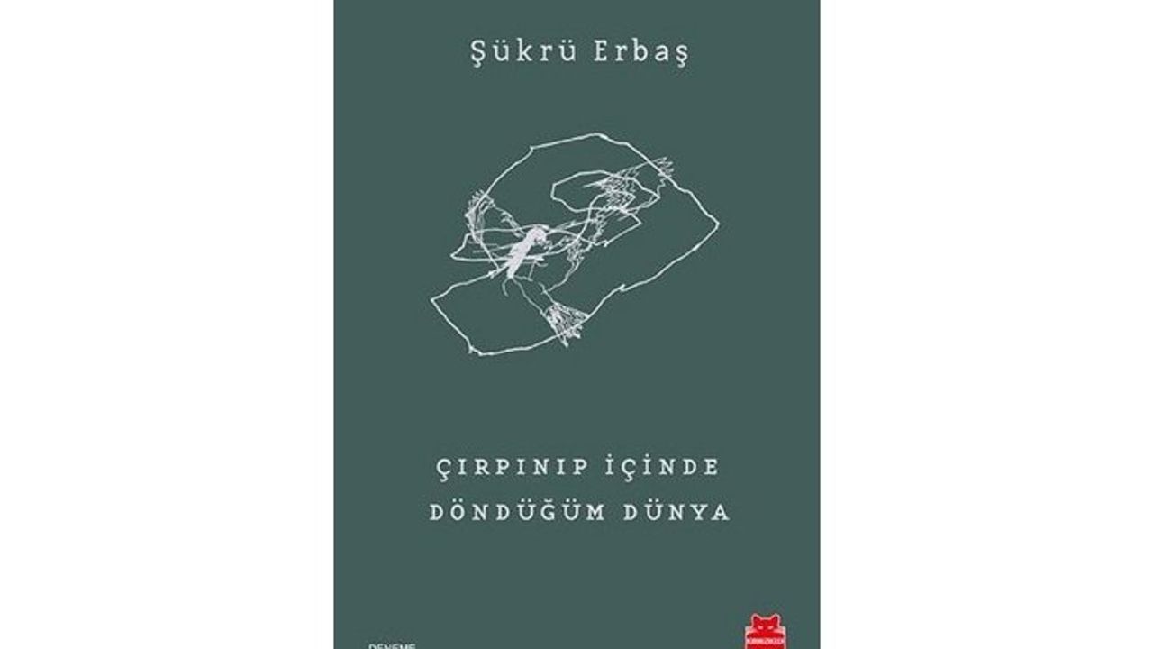 Yeni kitap: Çırpınıp İçinde Döndüğüm Dünya