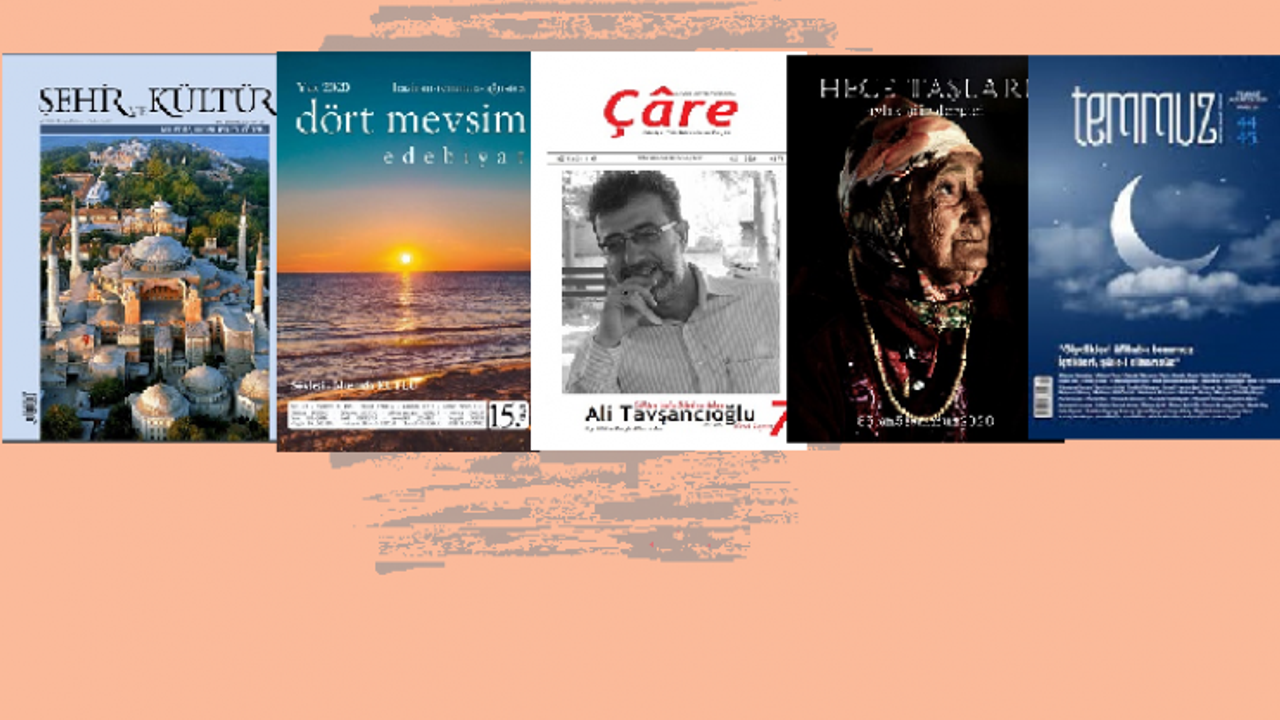 Temmuz 2020 dergilerine genel bir bakış-4