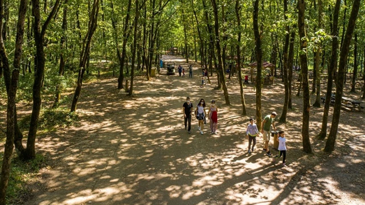 Avrupa'nın en büyük doğal yaşam parkı 5 milyon ziyaretçiyi ağırladı