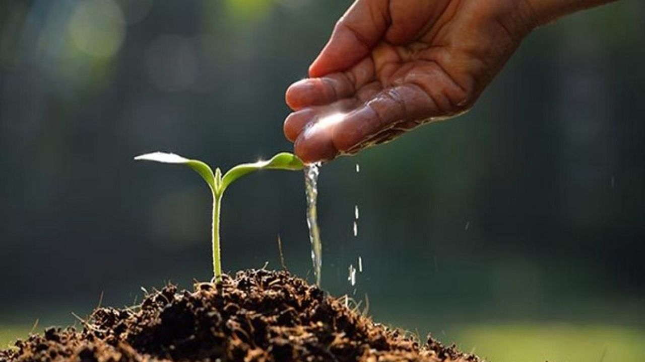 Bu koridorda kapılar öğrencilerin geleceğine açılıyor