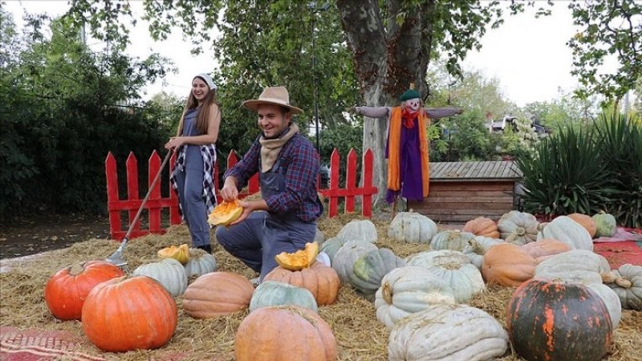 Edirne'nin meşhur Karaağaç kabağı adına düzenlenen festival renkli başladı