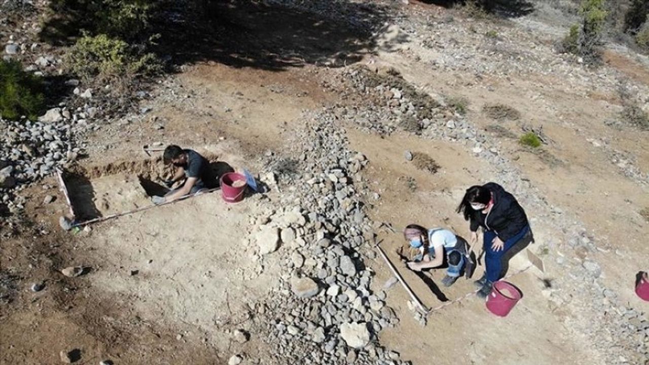 Muğla'daki 9 milyon yıl öncesine ait fosil alanında yeni buluntulara ulaşıldı