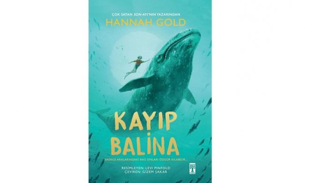 Bir balina ile iletişim kurabilmek nasıl hissettirirdi?