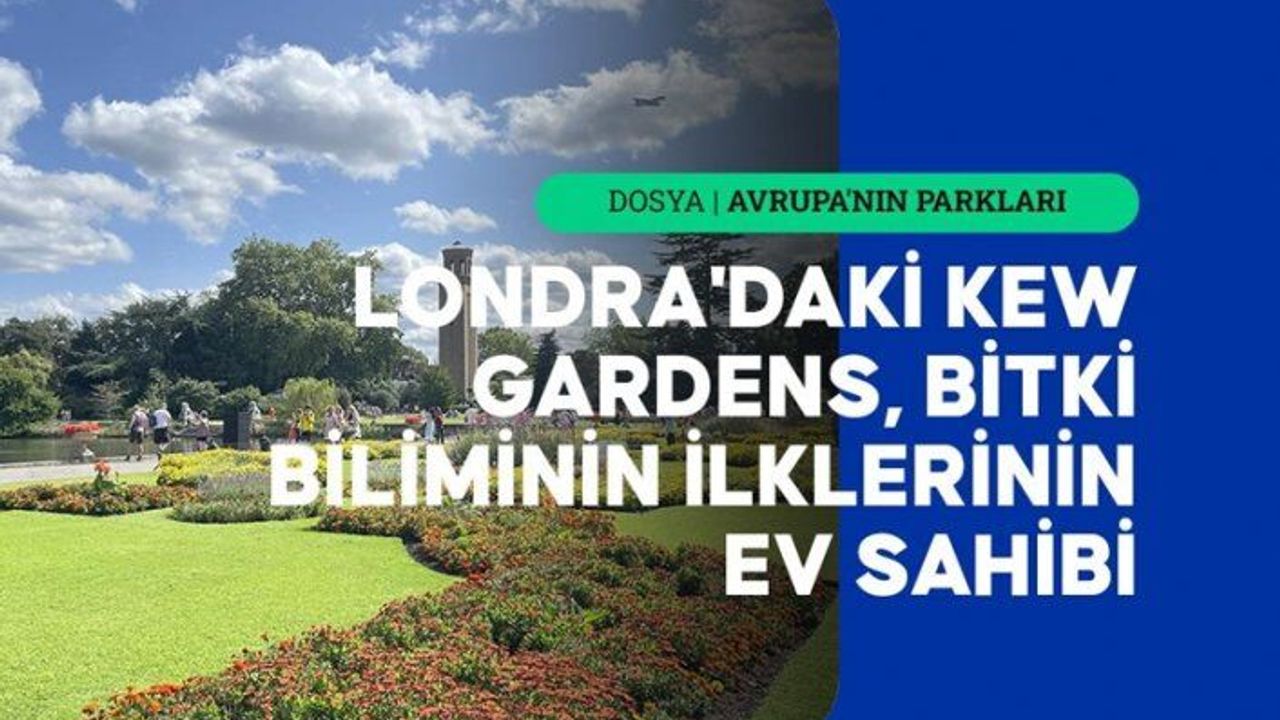 Londra'daki Kew Gardens, bitki biliminin 'en'leri, ilkleri ve teklerine ev sahipliği yapıyor