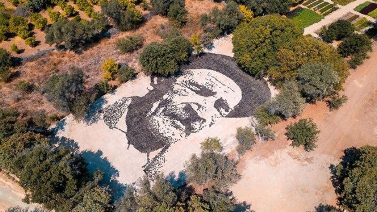 Aşık Veysel'in vefatının 50. yılında Bodrum'da topraktan dev portresi yapıldı
