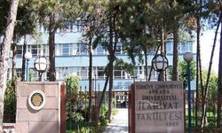 İstanbul’dan Ankara’ya: Bir rihle hikâyesi