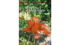Hayal Bilgisi dergisi 50. sayısında ‘Yalnızlık İmandandır’ diyor