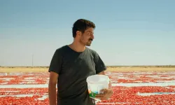 Türkiye'nin Oscar adayı filmi belli oldu