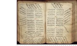Şeyh Galib'in 18 yaşında kendi eliyle yazdığı Divan gün yüzüne çıktı