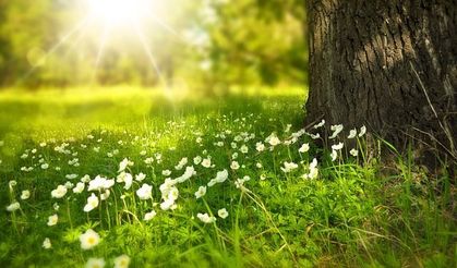 Dünyabizim yayın yönetmenliğinde bayrak değişimi