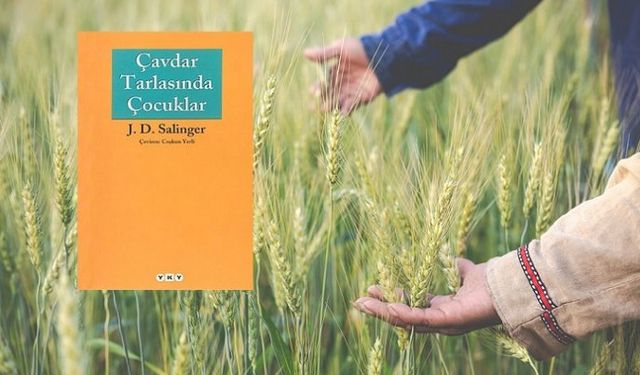 Salinger'in Çavdar Tarlasında Çocuklar kitap özeti