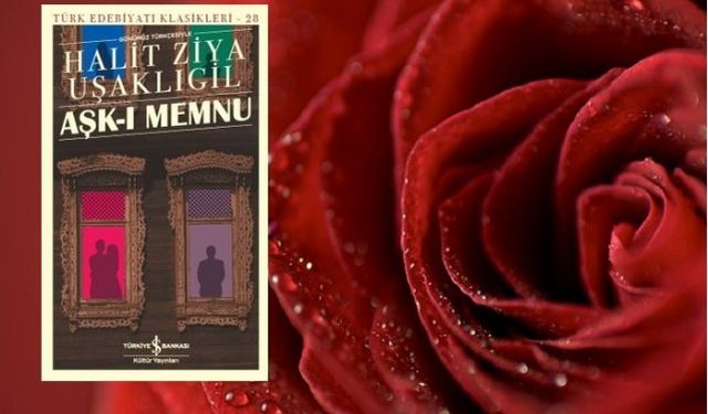 Aşk-ı Memnu kitap özeti