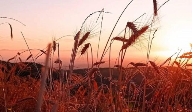 Karamca’dan, Güvenli Köyü’nden bildiriyorum...