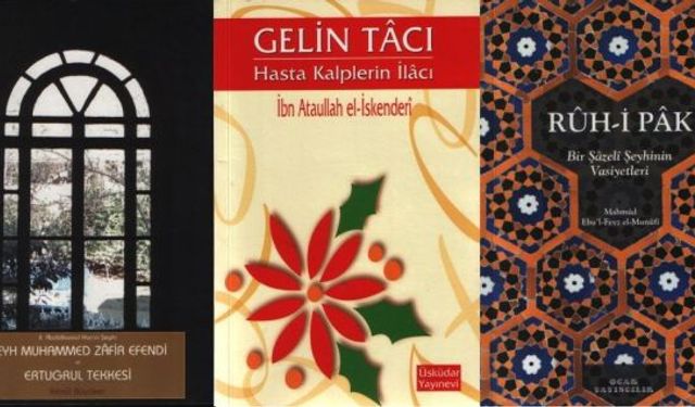 Şazelilik literatürümüz neden zayıf yada yok?