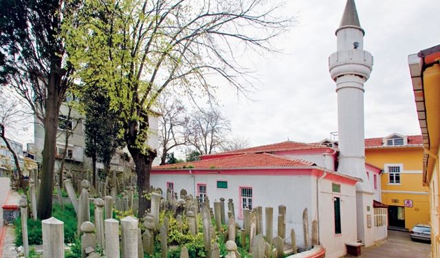 Üsküdar'ın gülü Şeyh Mehmed Nasuhî Efendi