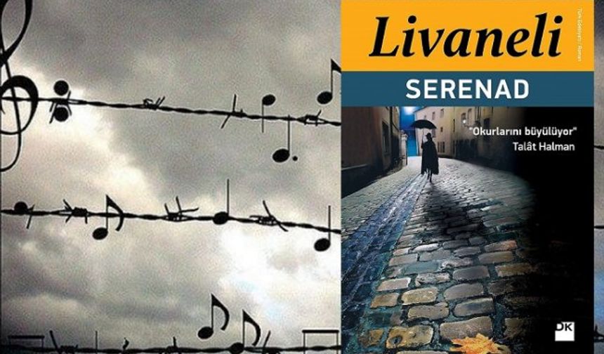 Zülfü Livaneli 'Serenad' kitap özeti