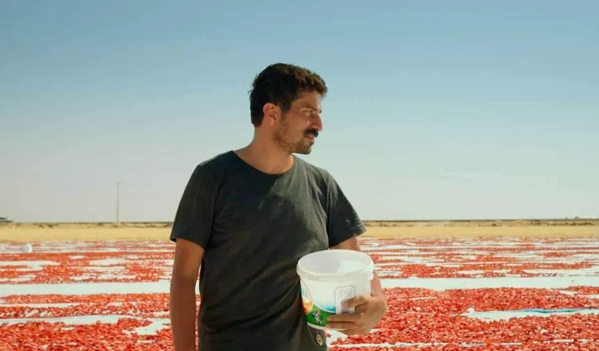 "Hemme'nin Öldüğü Günlerden Biri" Oscar Adayı