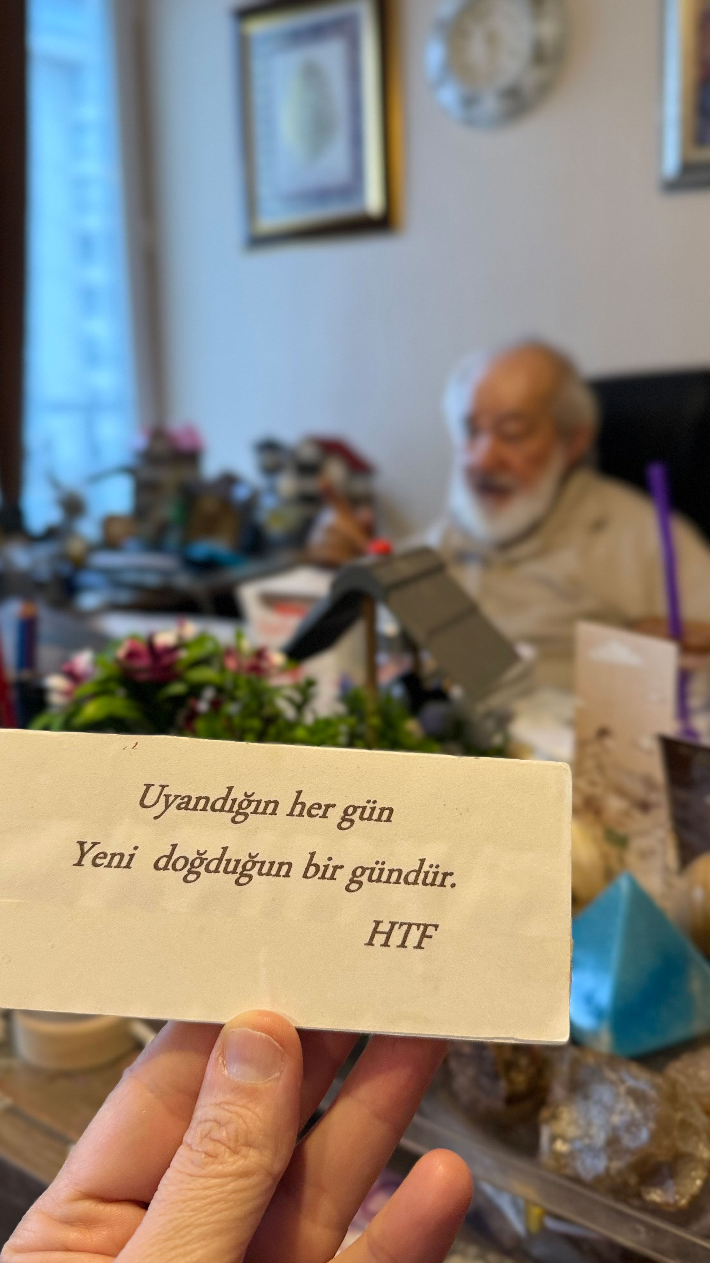 Hasan Tahsin Feyizli (2)